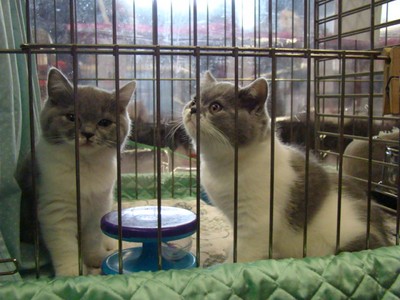 20121021_109 (Expo)